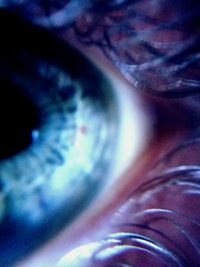 Extreme close up of animal