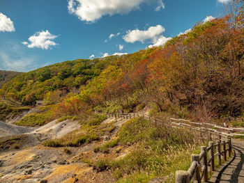 Scenic view of landscape against sky during autumn