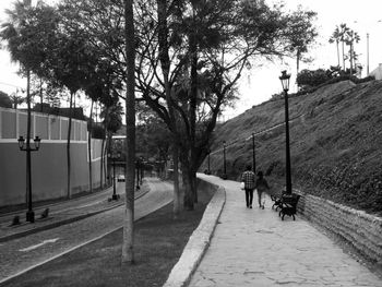 Rear view of man walking on road amidst trees