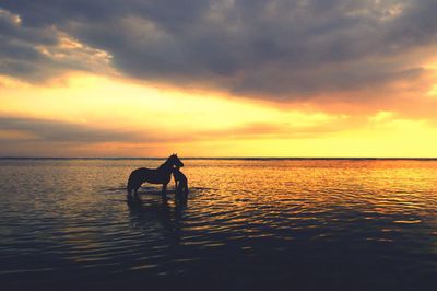 Silhouette in sea against sky during sunset