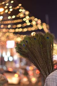 Close-up of illuminated christmas lights