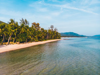 Scenic view of sea and beach against sky