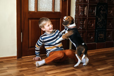Games to play with beagle puppies. how to entertain puppy and adult beagle indoors, fun ways 