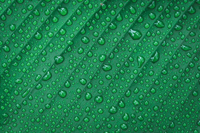 Water drops on banana leaf background