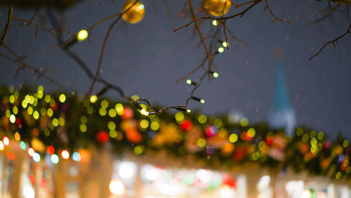 Close-up of wet illuminated lights in rainy season