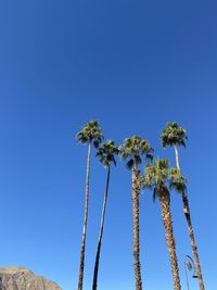 Low angle view of coconut palm trees against clear blue sky