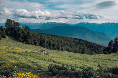 Beautiful scenery of colorful altai mountains, flowers and partly clouded sky. 