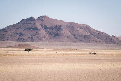 Scenic view of desert against clear sky