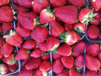 Full frame shot of strawberries