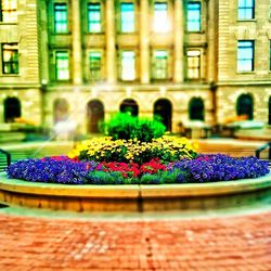 Potted plants in the dark