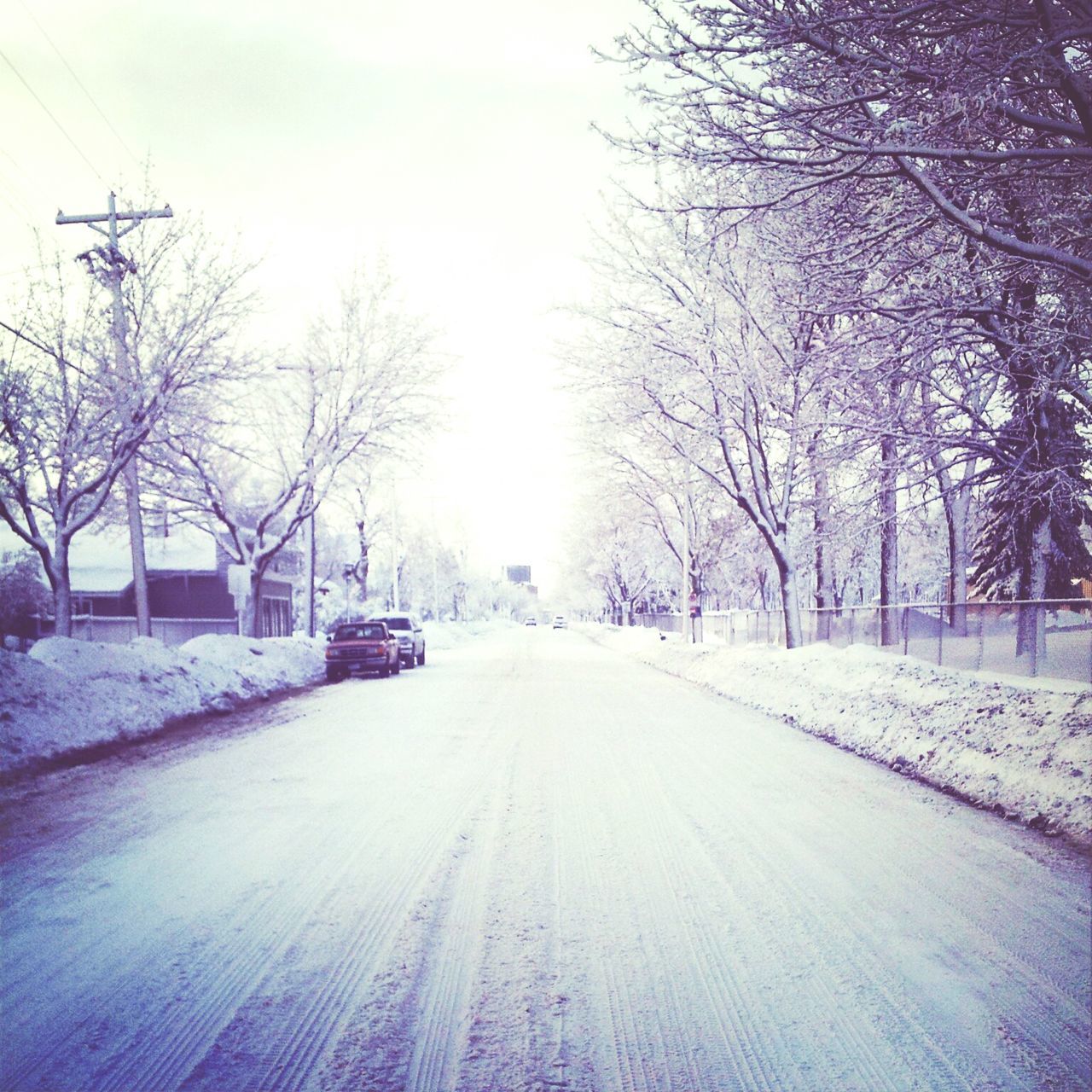 the way forward, snow, winter, cold temperature, tree, bare tree, diminishing perspective, transportation, road, vanishing point, season, weather, clear sky, street, covering, nature, long, empty, empty road, tranquil scene