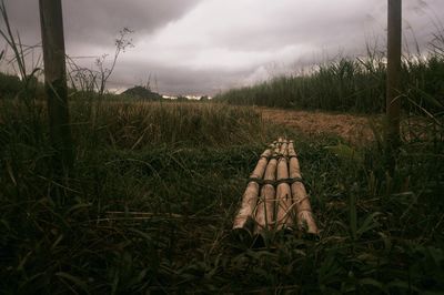 Wooden posts on field against sky