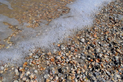 High angle view of pebbles at beach