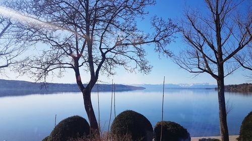 Bare tree by lake against sky