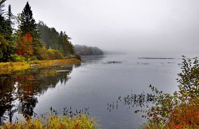 Scenic view of lake against sky during autumn