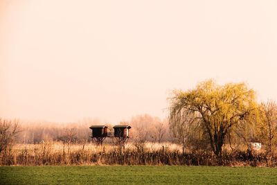 Scenic view of field against clear sky