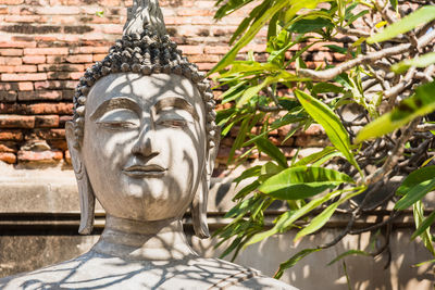 Close-up of buddha statue against trees