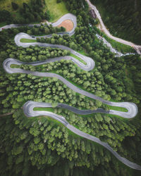 Aerial view of trees and road in forest