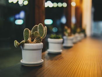 Close-up of potted plant on table at home