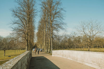 People walking on footpath by bare trees against sky