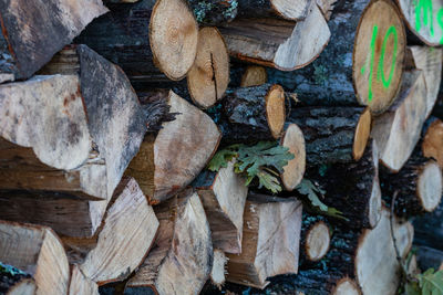 Full frame shot of logs in forest