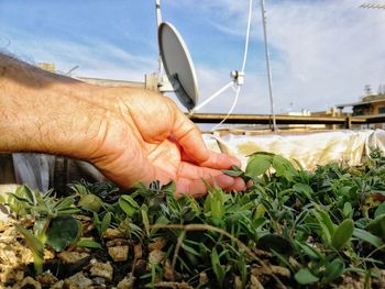 Midsection of person holding sailboat against sky