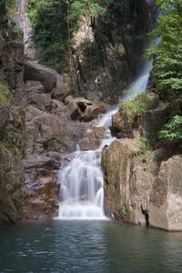 Scenic view of waterfall in forest