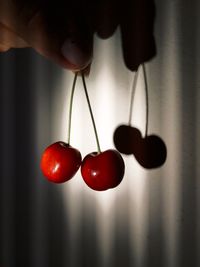 Close-up of cherries 