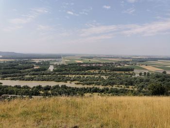 Scenic view of agricultural field against sky