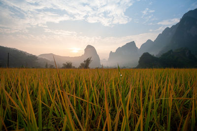 Scenic view of field against sky during sunset