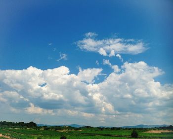 Scenic view of grassy field against cloudy sky