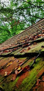 Low angle view of abandoned house in forest