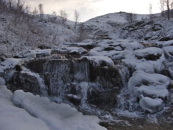 Scenic view of snow covered land and trees