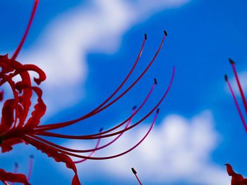 Low angle view of sky