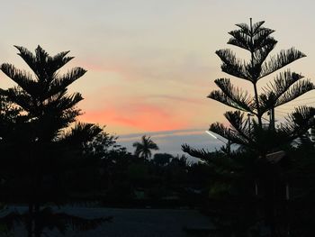 Low angle view of silhouette palm trees against sky during sunset