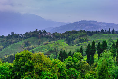 Scenic view of trees and mountains against sky