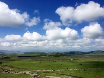 Scenic view of agricultural field against sky