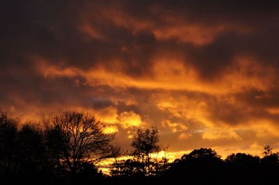 Silhouette trees against dramatic sky during sunset