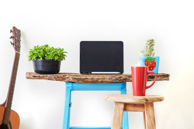 Close-up of potted plant on table against wall