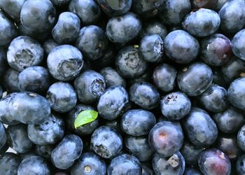 Full frame shot of blueberries