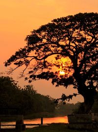 Silhouette tree against sky during sunset