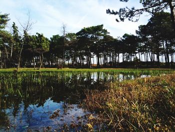 Scenic view of lake against sky