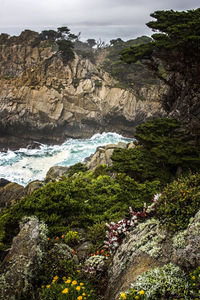 Scenic view of waterfall