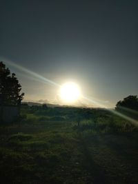 Scenic view of field against clear sky during sunset