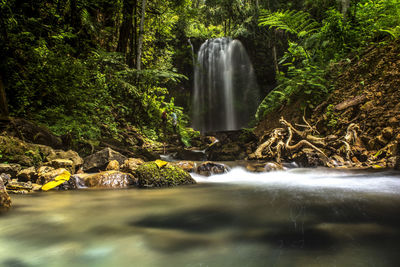 Waterfall in forest