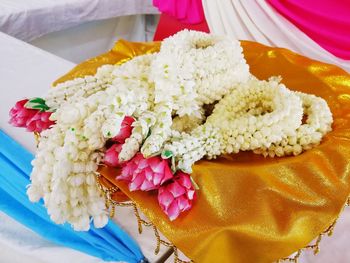 High angle view of roses in plate