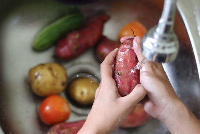 Close-up of hand holding fruits