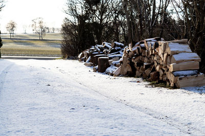 Stack of logs on snow covered landscape