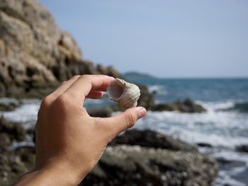Close-up of human hand holding seashell at beach against clear sky