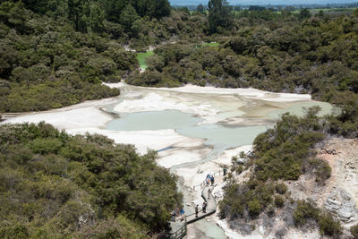 High angle view of river amidst trees in forest